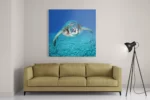 Schilderij Zeeschildpad In Helderblauw Water 01 Vierkant Template D Vierkant Dieren 21 2