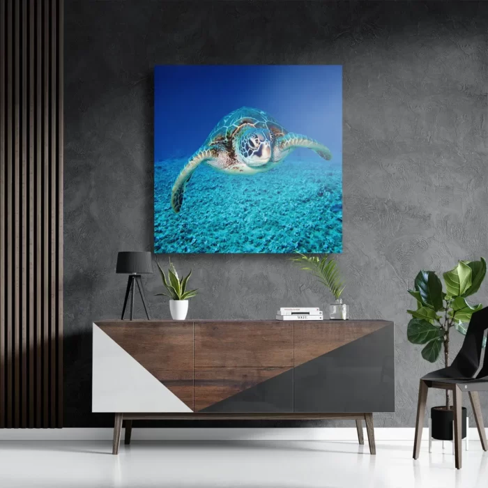 Schilderij Zeeschildpad In Helderblauw Water 01 Vierkant Template D Vierkant Dieren 21 3