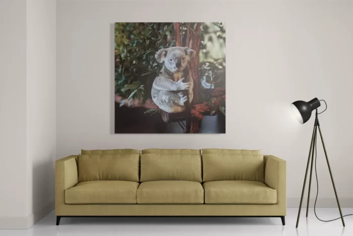 Schilderij De Vastgelamde Koala Vierkant Template D Vierkant Dieren 23 2