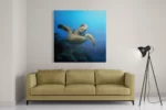 Schilderij Zeeschildpad In Helderblauw Water 02 Vierkant Template D Vierkant Dieren 26 2