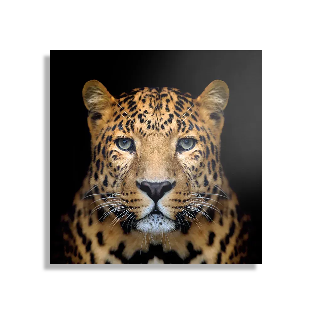 Schilderij De Jaguar Vierkant Template D Vierkant Dieren 29 1