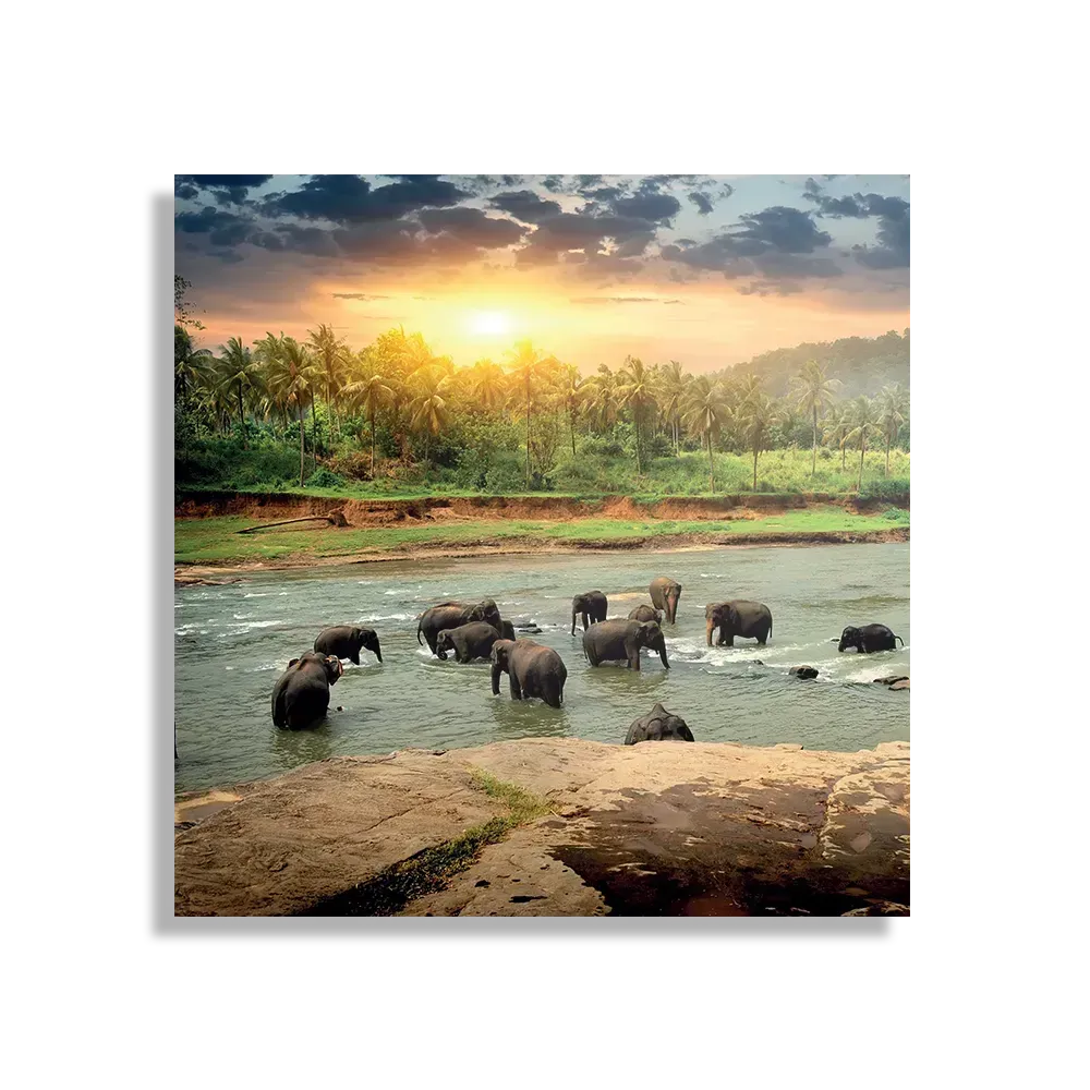 Template_D_Vierkant_Dieren_39-1 Schilderij De Rivier Olifanten Vierkant Template D Vierkant Dieren 39 1