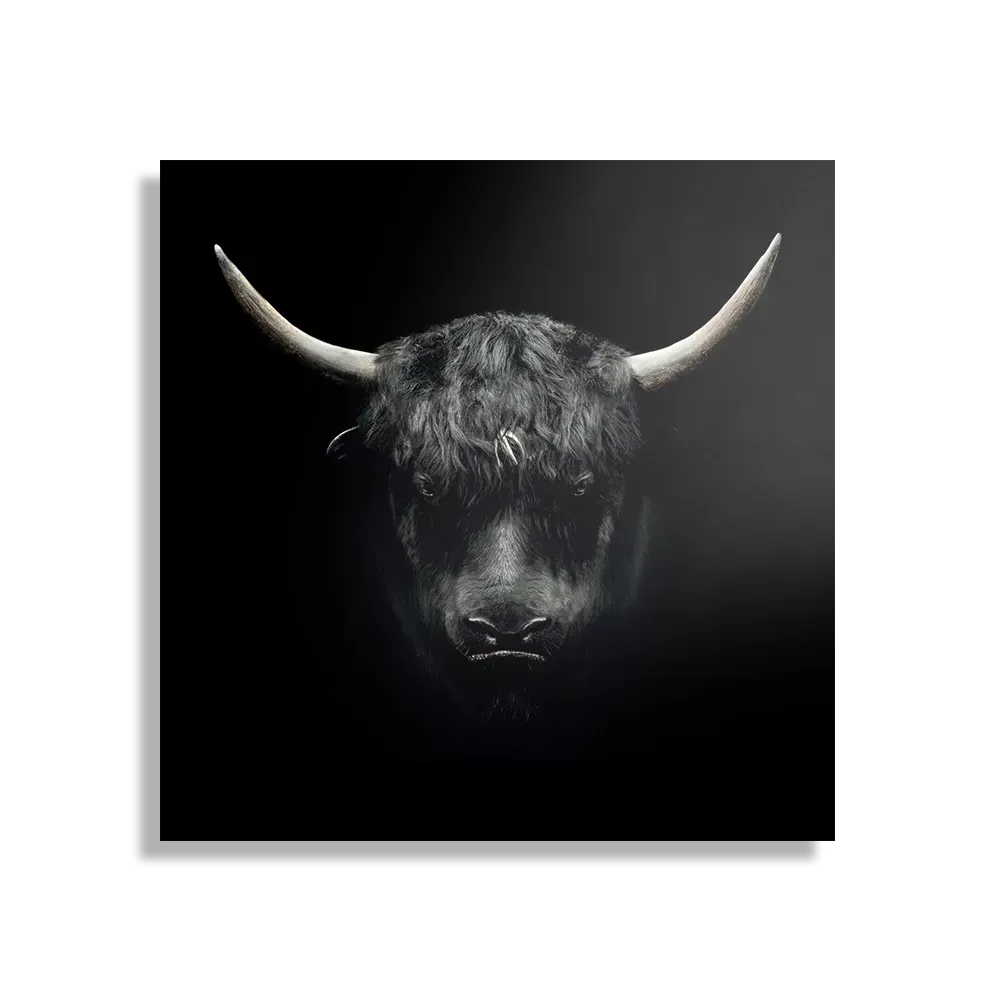 Template_D_Vierkant_Dieren_41-1 Schilderij Stier Ready To Fight 02 Vierkant Template D Vierkant Dieren 41 1