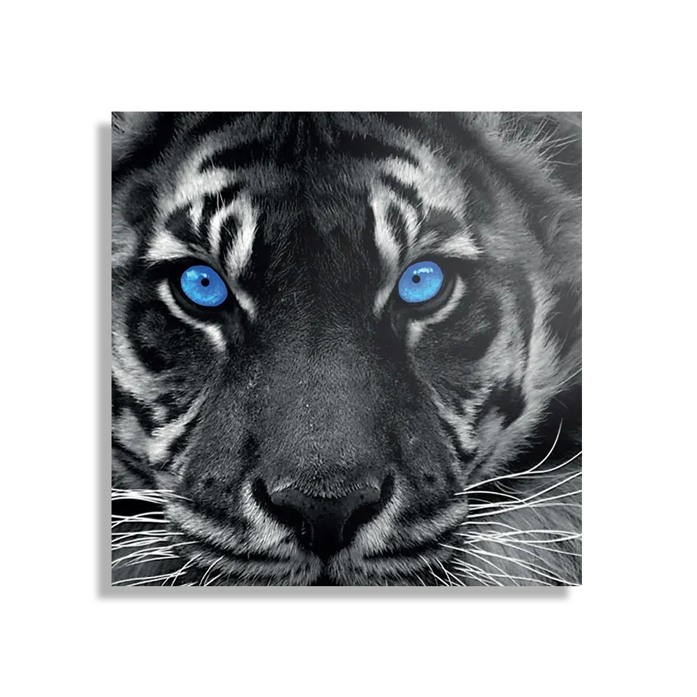 Template_D_Vierkant_Dieren_42-1 Schilderij Lion With Blue Eyes Vierkant Template D Vierkant Dieren 42 1
