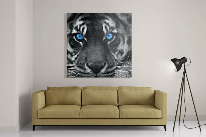 Schilderij Lion With Blue Eyes Vierkant Template D Vierkant Dieren 42 2