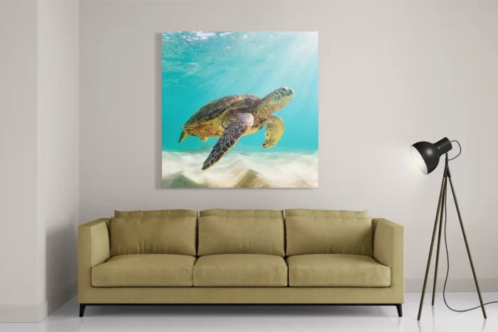 Schilderij Zeeschildpad In Helderblauw Water 04 Vierkant Template D Vierkant Dieren 58 2
