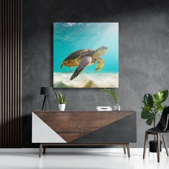 Schilderij Zeeschildpad In Helderblauw Water 04 Vierkant Template D Vierkant Dieren 58 3