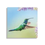 Template_D_Vierkant_Dieren_66-1 Schilderij Colibri Onderweg Naar Lavendel Vierkant Template D Vierkant Dieren 66 1