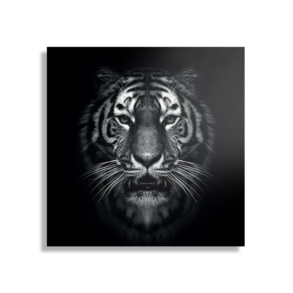 Template_D_Vierkant_Dieren_67-1 Schilderij De Tijger Zwart Wit Vierkant Template D Vierkant Dieren 67 1