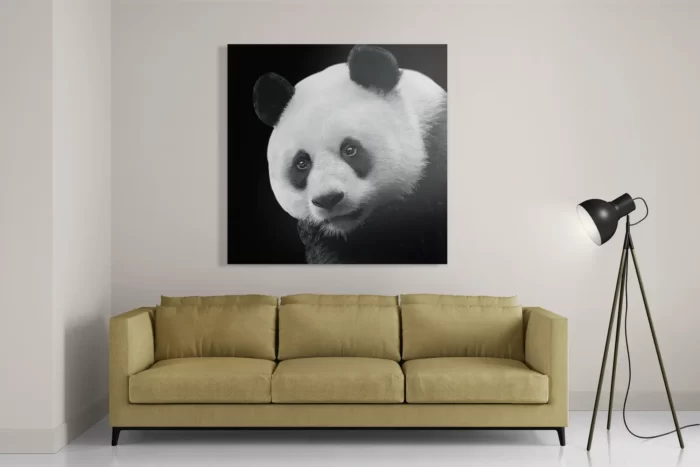 Schilderij Pandabeer Zwart Wit 02 Vierkant Template D Vierkant Dieren 74 2