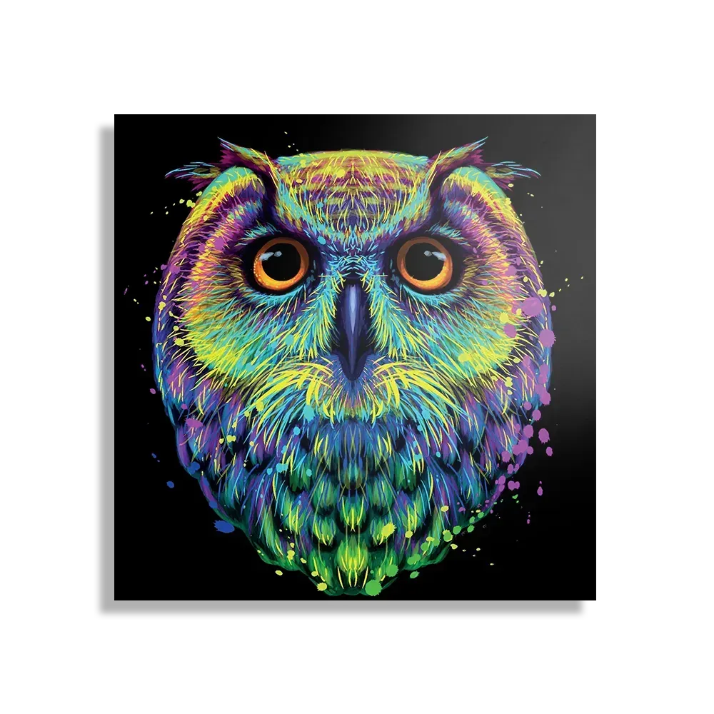 Schilderij Colored Owl 01 Vierkant Template D Vierkant Dieren 82 1