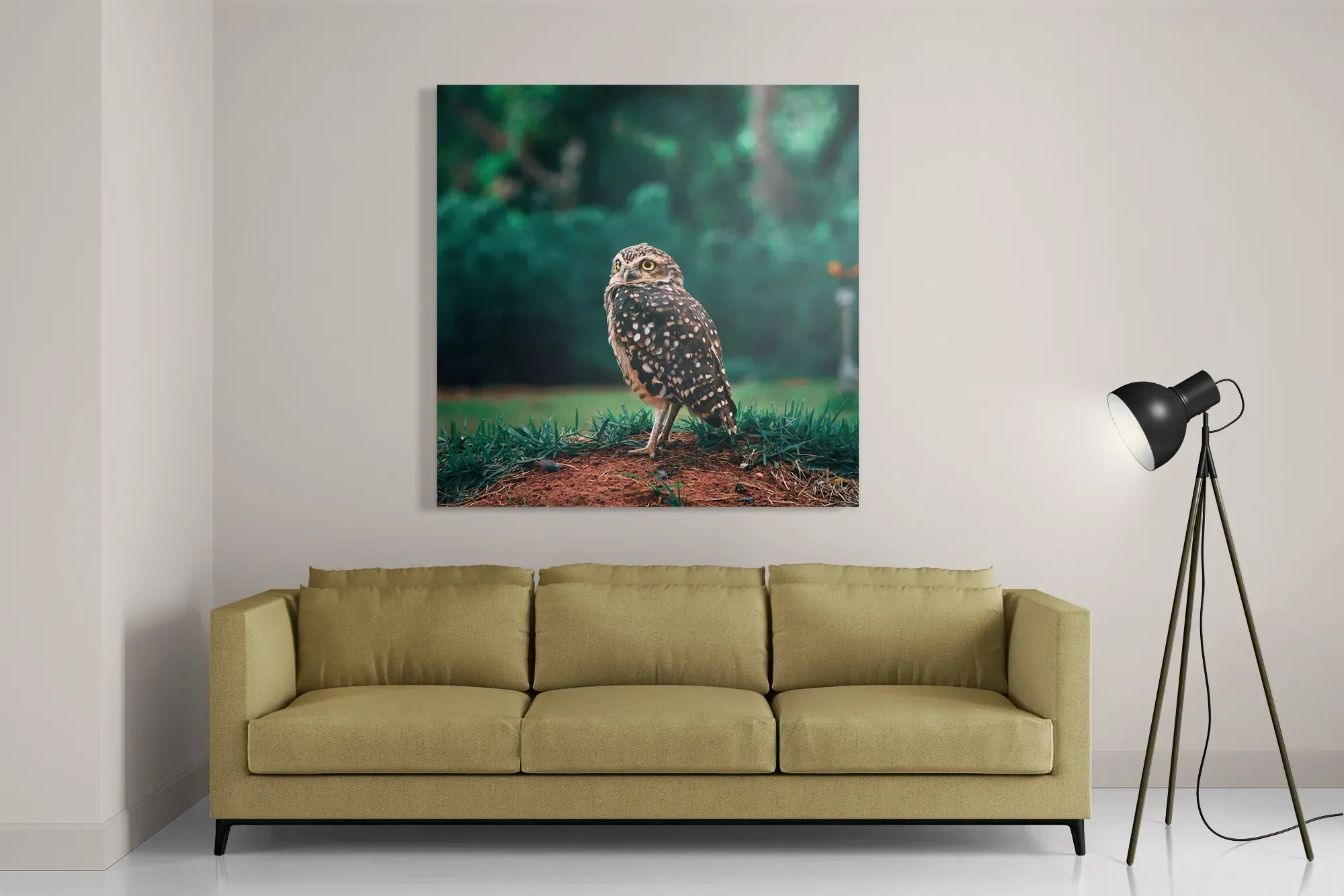 Schilderij Uil In De Natuur Vierkant Template D Vierkant Dieren 9 2