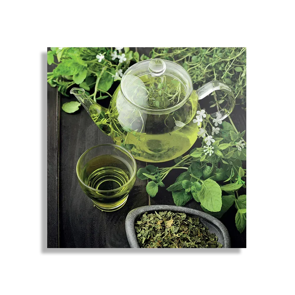 Schilderij Mint Thee Vierkant Template D Vierkant Eten En Drinken 49 1