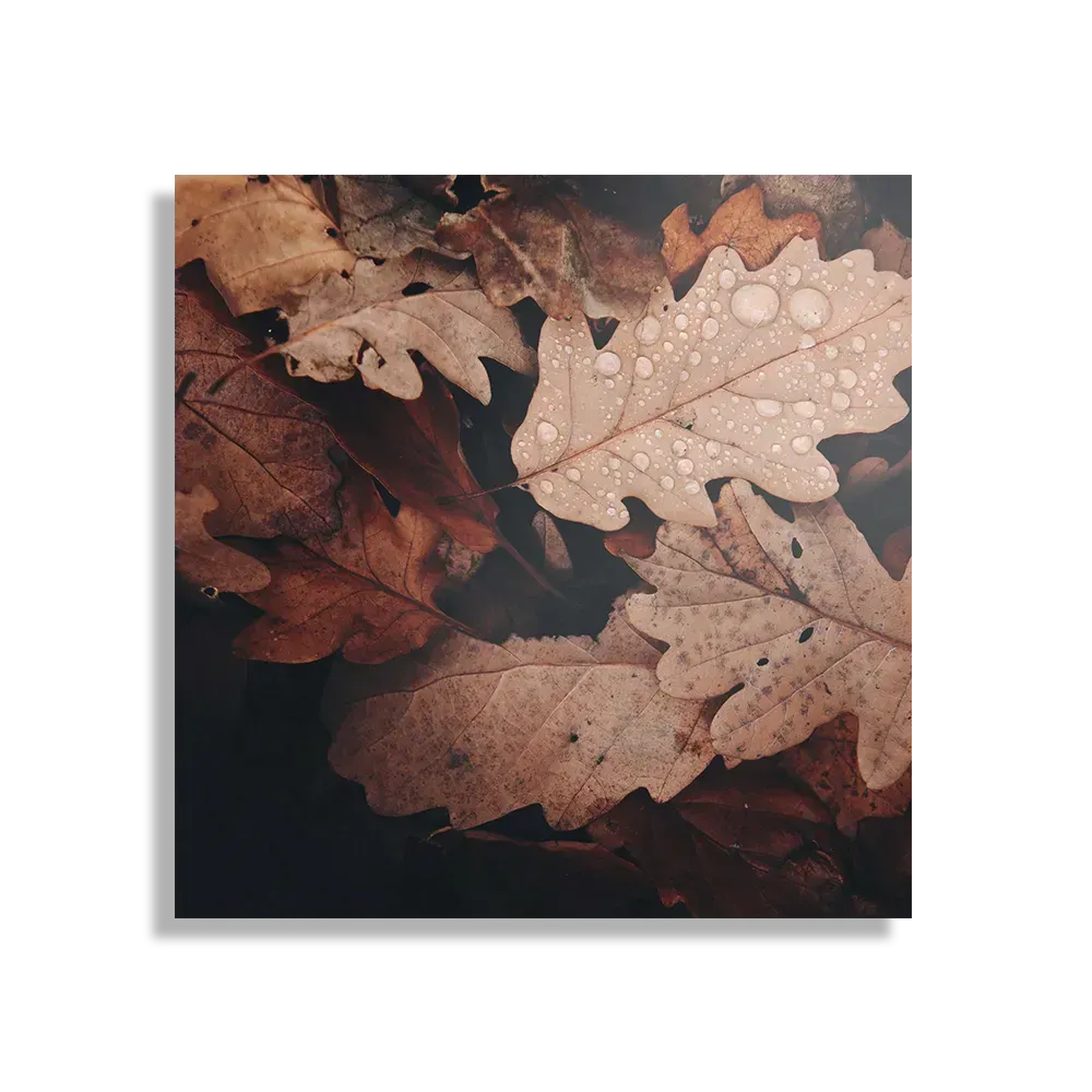 Schilderij Herfstweer Vierkant Template D Vierkant Natuur 13 1