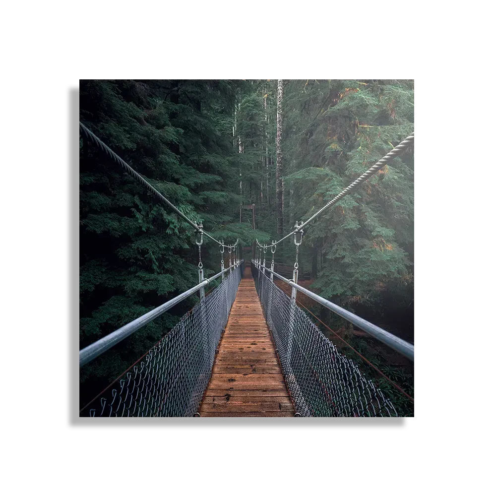 Schilderij Over de brug Vierkant Template D Vierkant Natuur 18 1