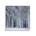 Schilderij Het winterse bos Vierkant Template D Vierkant Natuur 27 1