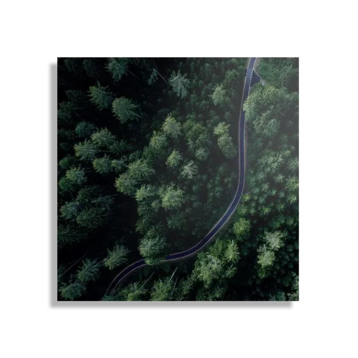 Schilderij Weg door het bos Vierkant Template D Vierkant Natuur 74 1