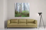 Schilderij Sequoia bos Vierkant Template D Vierkant Natuur 88 2