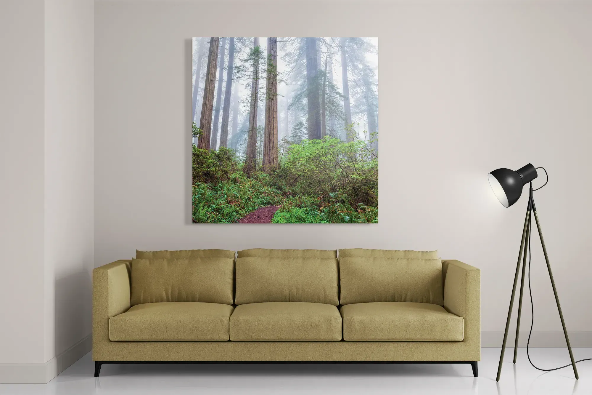 Schilderij Sequoia bos Vierkant Template D Vierkant Natuur 88 2