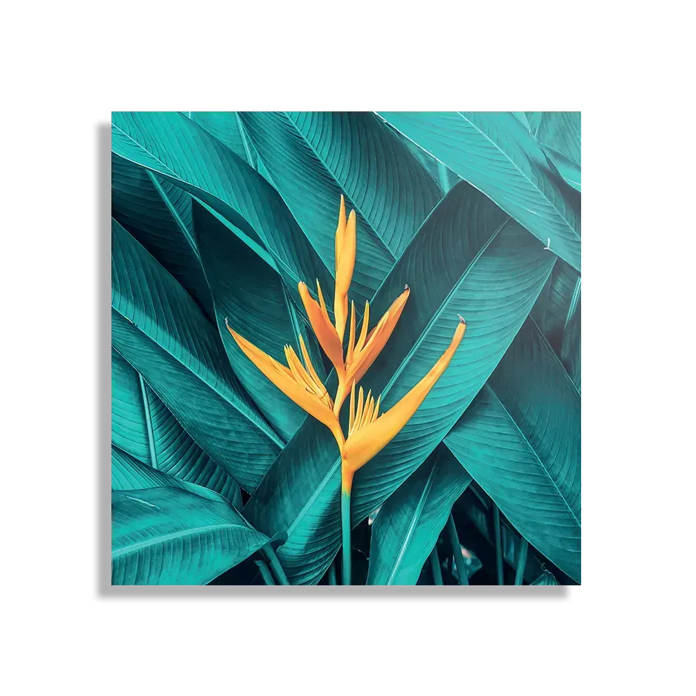 Schilderij Gele bloem in een blauw bladerdeken Vierkant Template D Vierkant Natuur 91 1