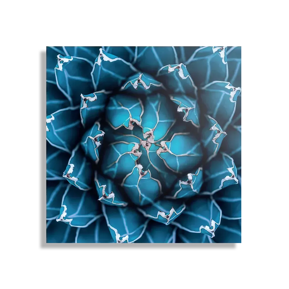 Template_D_Vierkant_Natuur_92-1 Schilderij Kleurrijke bloem 1 Vierkant Template D Vierkant Natuur 92 1