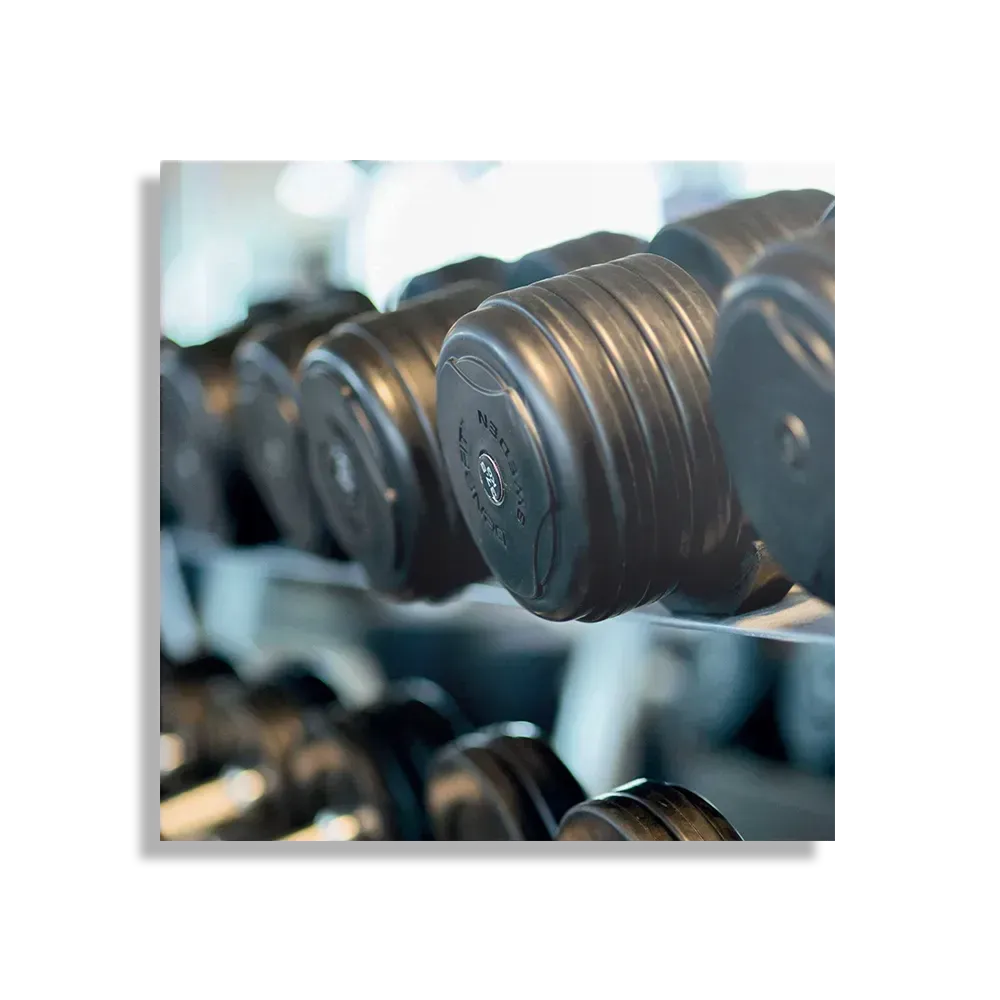 Schilderij Halters In De Sportschool Vierkant Template D Vierkant Sport 5 1