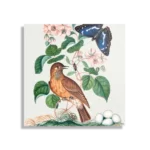 Schilderij Prent Natuur Vogel en Bloemen 01 Vierkant Template D Vierkant Vintage 1 1