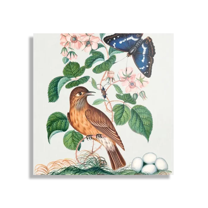 Schilderij Prent Natuur Vogel en Bloemen 01 Vierkant Template D Vierkant Vintage 1 1