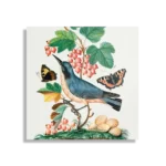 Schilderij Prent Natuur Vogel en Bloemen 10 Vierkant Template D Vierkant Vintage 10 1