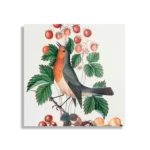 Schilderij Prent Natuur Vogel en Bloemen 11 Vierkant Template D Vierkant Vintage 11 1