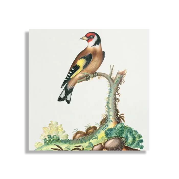 Schilderij Prent Natuur Vogel en Bloemen 15 Vierkant Template D Vierkant Vintage 15 1