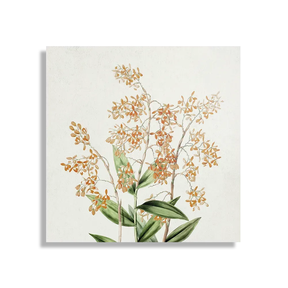 Template_D_Vierkant_Vintage_16-1 Schilderij Prent Bloemen Vierkant Template D Vierkant Vintage 16 1