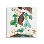 Schilderij Prent Natuur Vogel en Bloemen 03 Vierkant Template D Vierkant Vintage 3 1