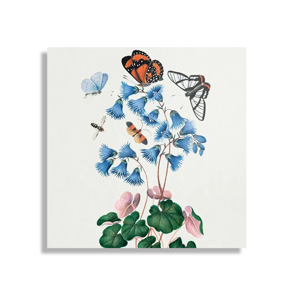 Schilderij Prent Natuur Vogel en Bloemen 04 Vierkant Template D Vierkant Vintage 4 1