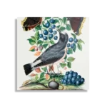 Schilderij Prent Natuur Vogel en Bloemen 06 Vierkant Template D Vierkant Vintage 6 1