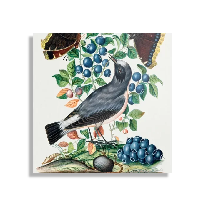 Schilderij Prent Natuur Vogel en Bloemen 06 Vierkant Template D Vierkant Vintage 6 1
