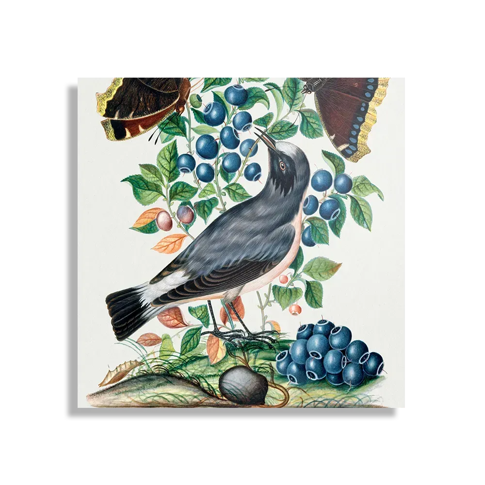 Template_D_Vierkant_Vintage_6-1 Schilderij Prent Natuur Vogel en Bloemen 06 Vierkant Template D Vierkant Vintage 6 1