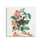 Schilderij Prent Natuur Vogel en Bloemen 08 Vierkant Template D Vierkant Vintage 8 1